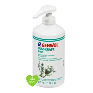 Gehwol Fusskraft Mint 500ml mit Pumpe