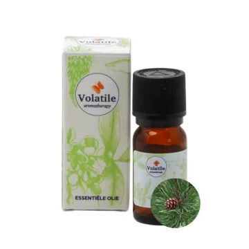 Ätherisches Öl Kiefer 10ml