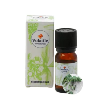 Volatile Ätherisches Öl Eukalyptus Wild 10ml